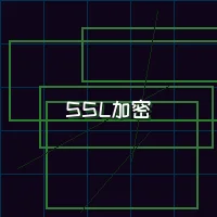 pg棋牌 量子加密网络SSL安全认证